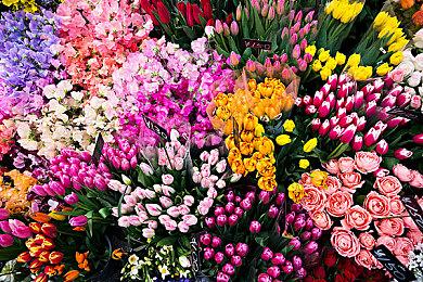 游戏粉丝在纽约开了一家真正的宝可梦道馆